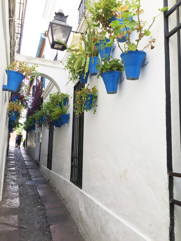 What to visit in Cordoba