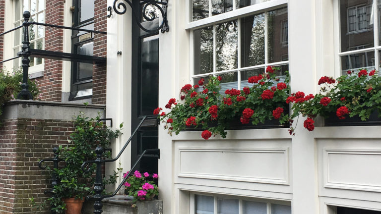 maison fleurs amsterdam