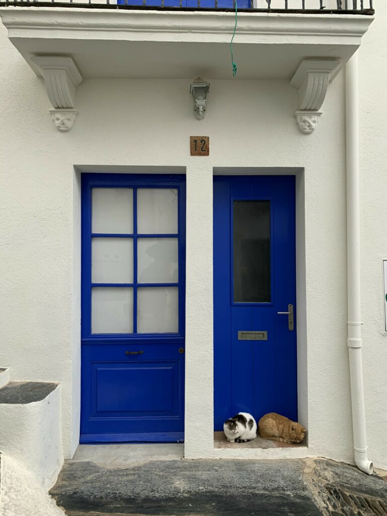 porte bleu avec des chats