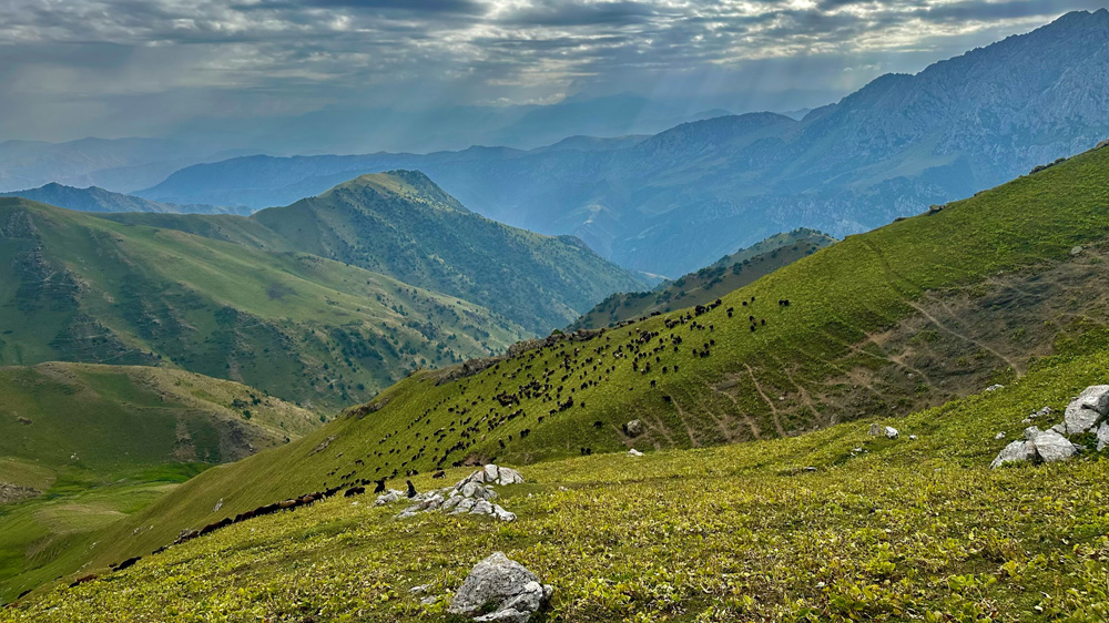 paysage vallee alai kirghizistan