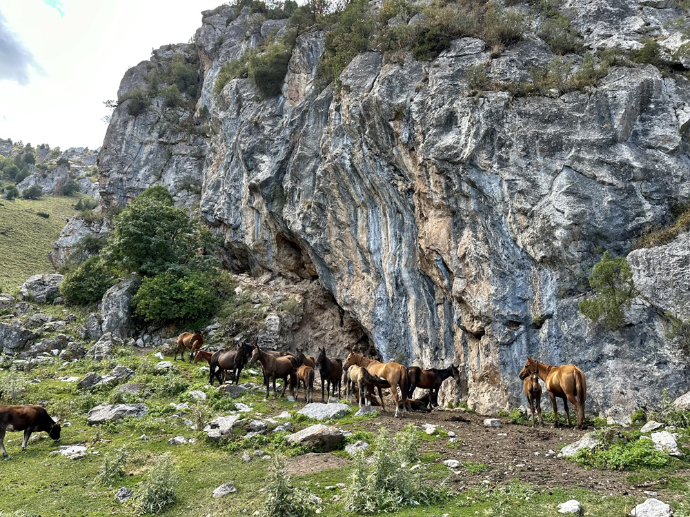 kirghizistan trek à cheval osh vallee alai