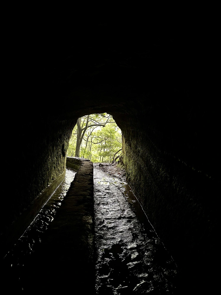 Tunnel