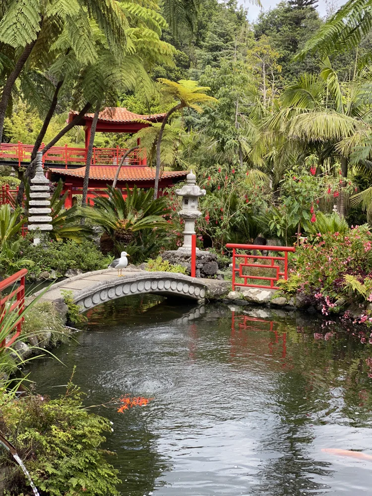 Jardin botanique de Funchal