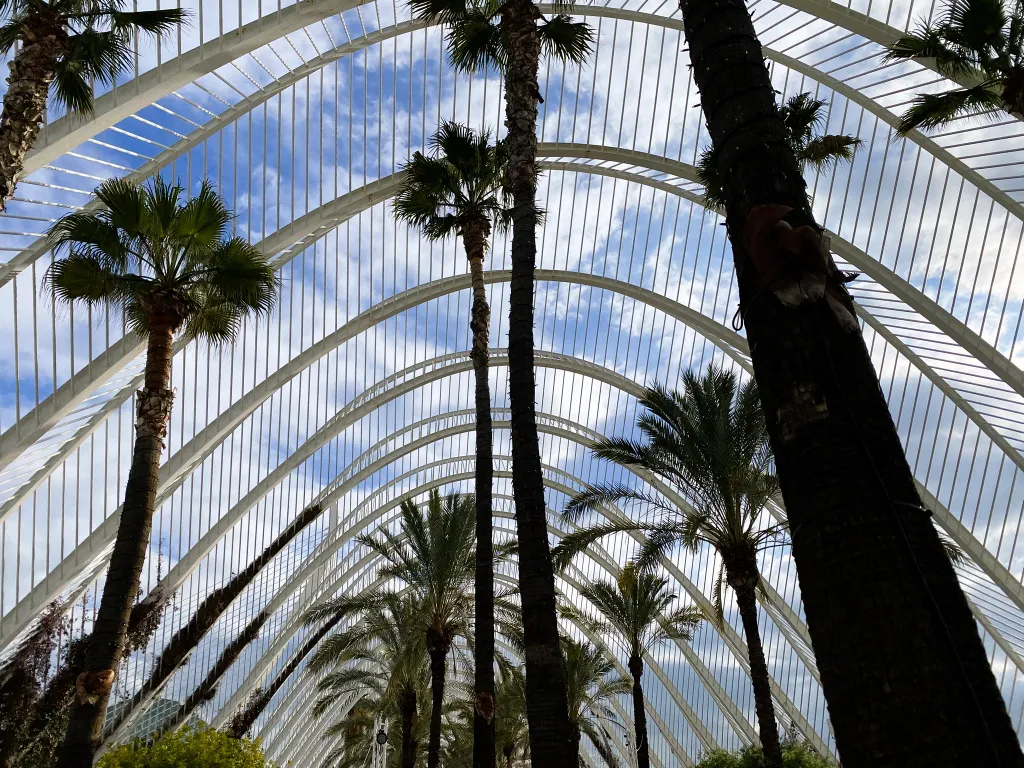 Vue du dessous Umbracle de Valencia